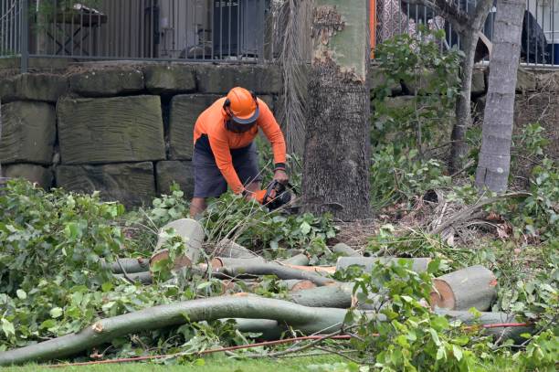 Best Hazardous Tree Removal  in Carnot Moon, PA